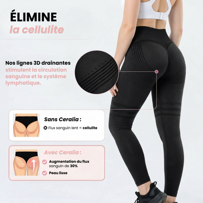 Legging ( 1 + 1 )